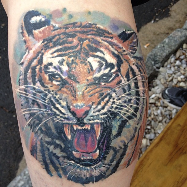 Tiger, 재규어, 한국 호랑이