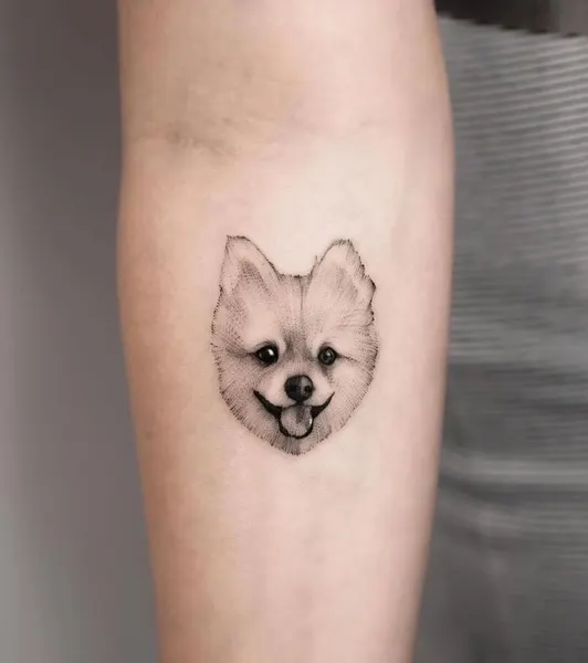 여우