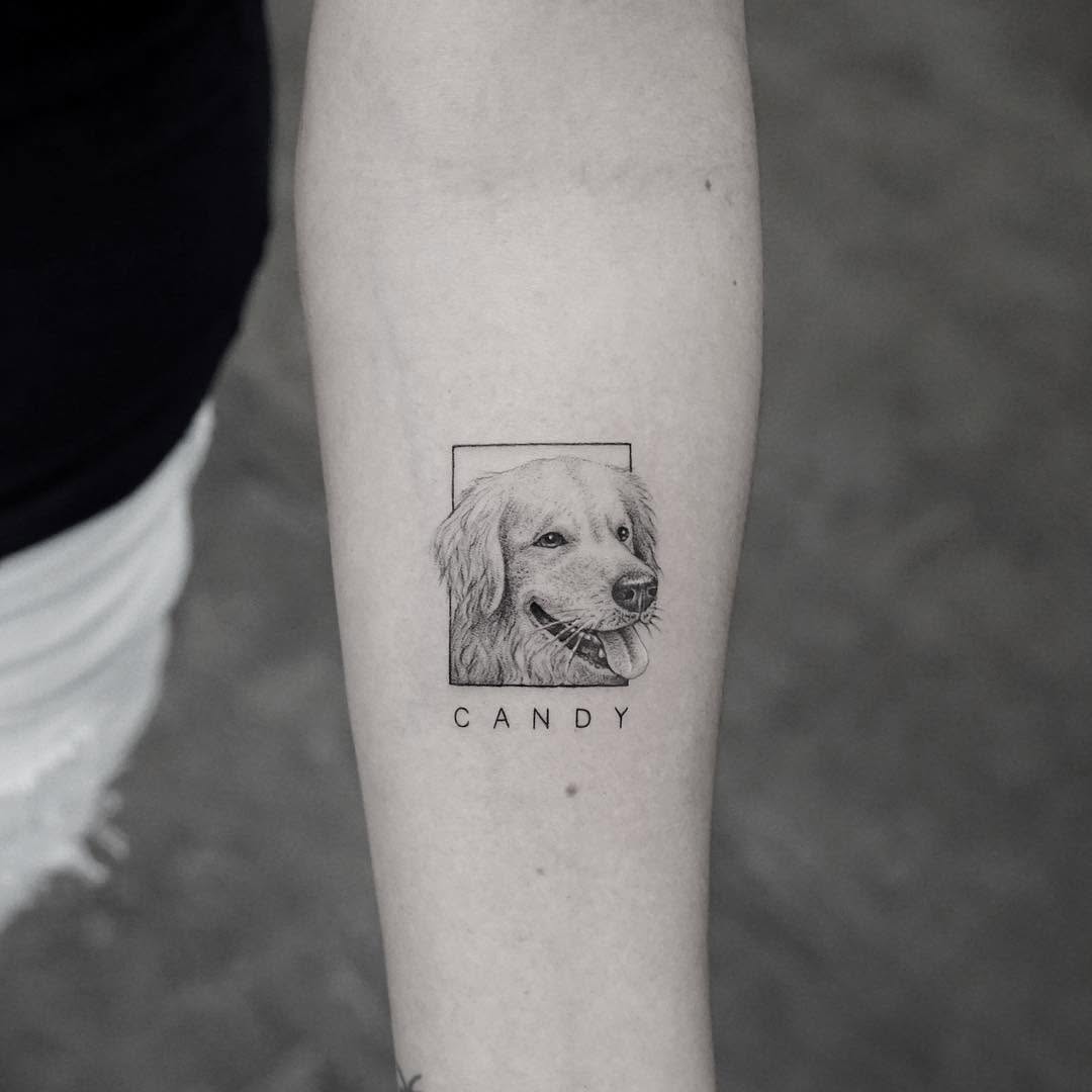Animal, 반려동물 추모, 반려동물