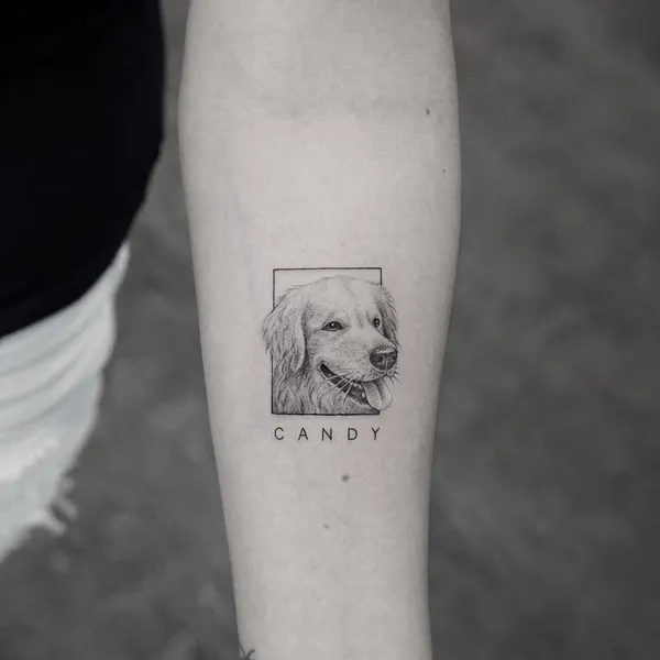Animal, 반려동물 추모, 반려동물
