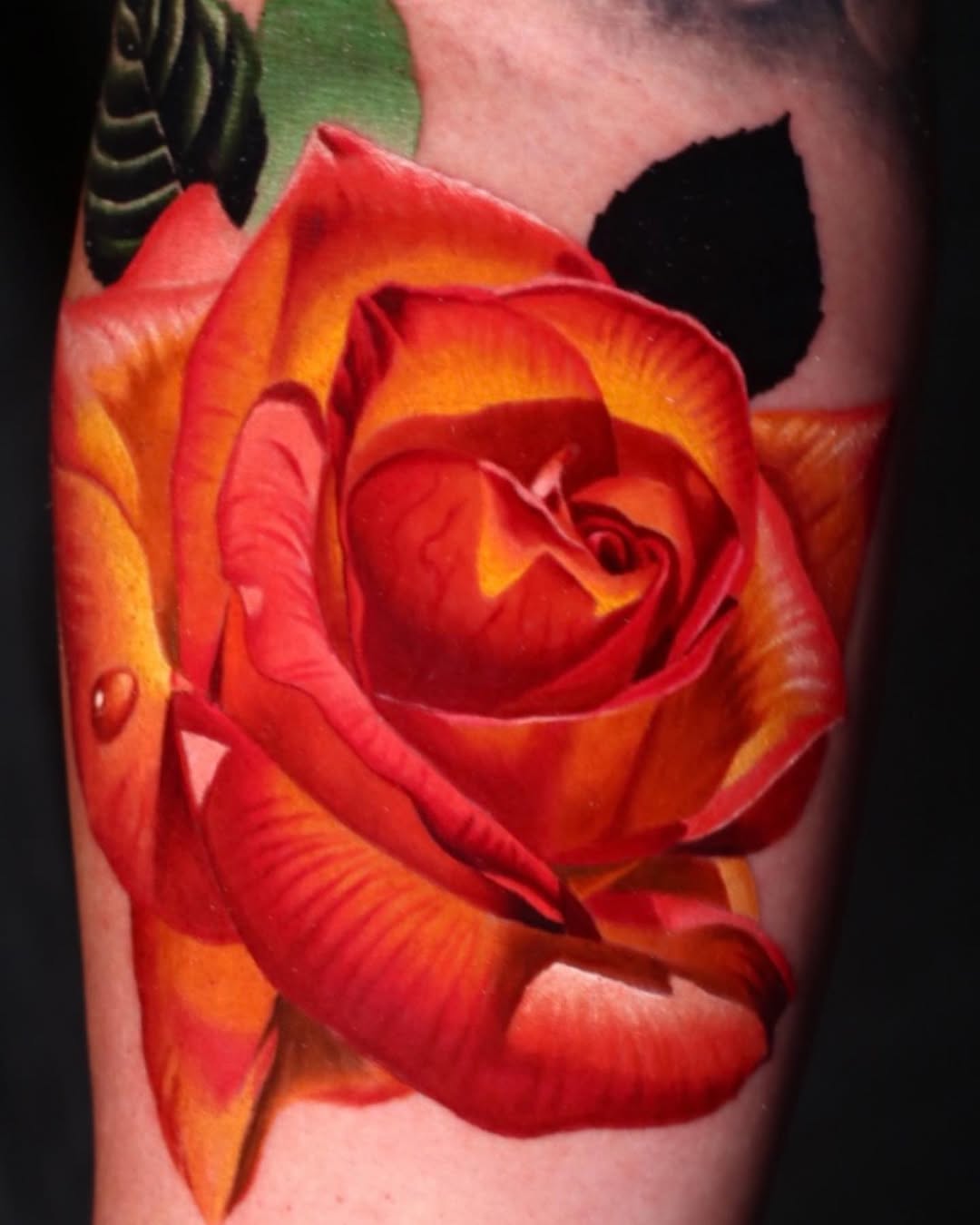Flower, Rose