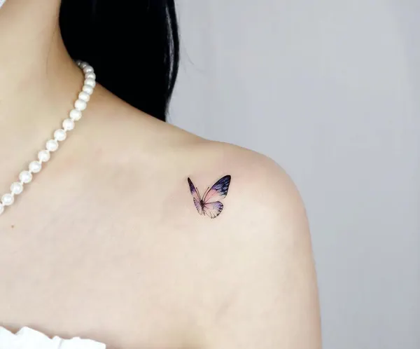 Animal, 나비