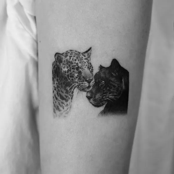 Animal, 표범, 팬서