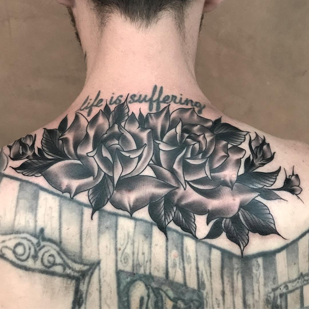Flower, Rose, Nature