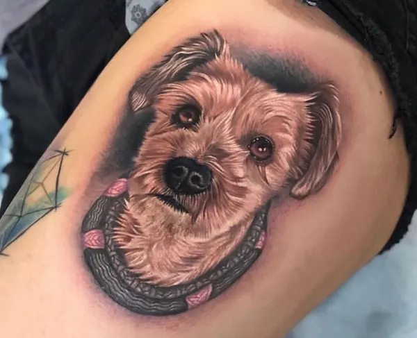 megan_massacre