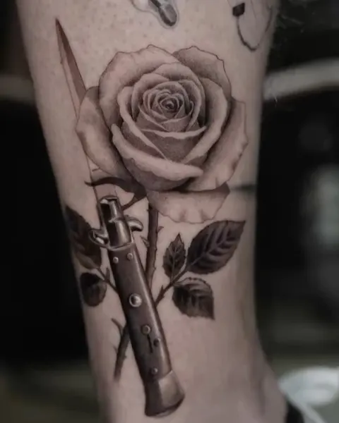 Rose