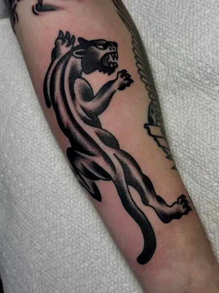 Tiger, 표범, 재규어