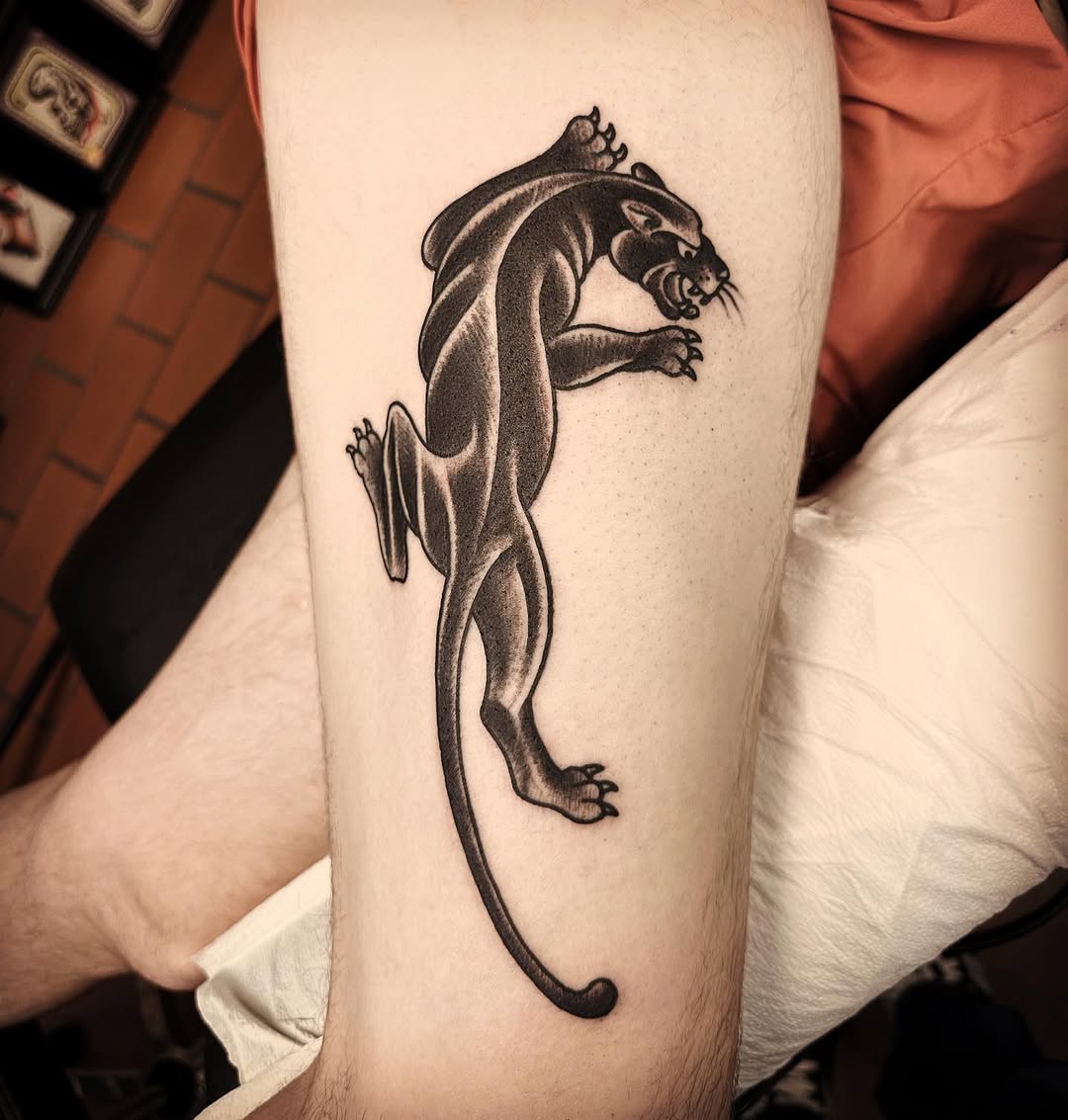 Dragon, 팬서