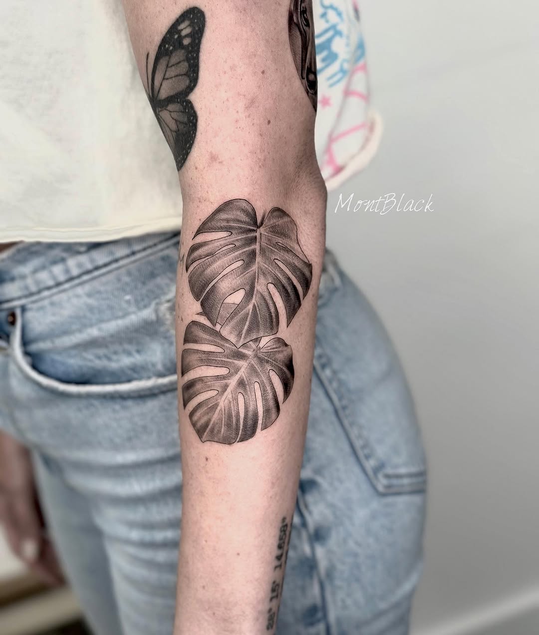 Flower, 산호