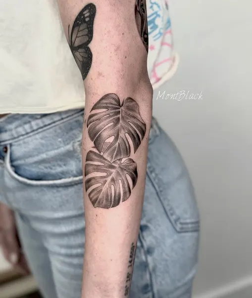 Flower, 산호