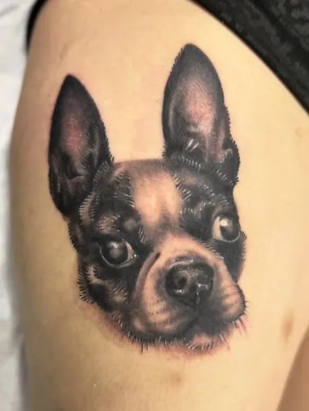 Animal
