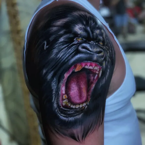 Tiger, Animal