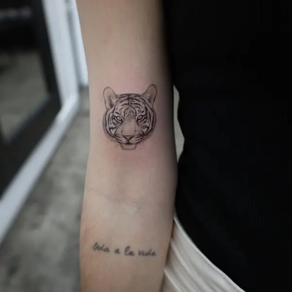 Tiger, 사자자리