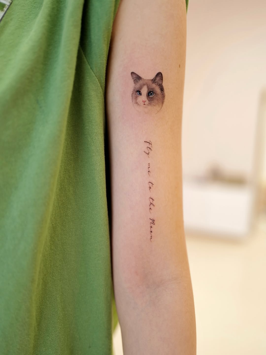 Animal, Nature