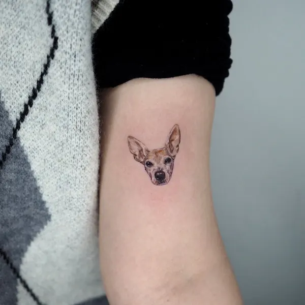 사슴, Animal