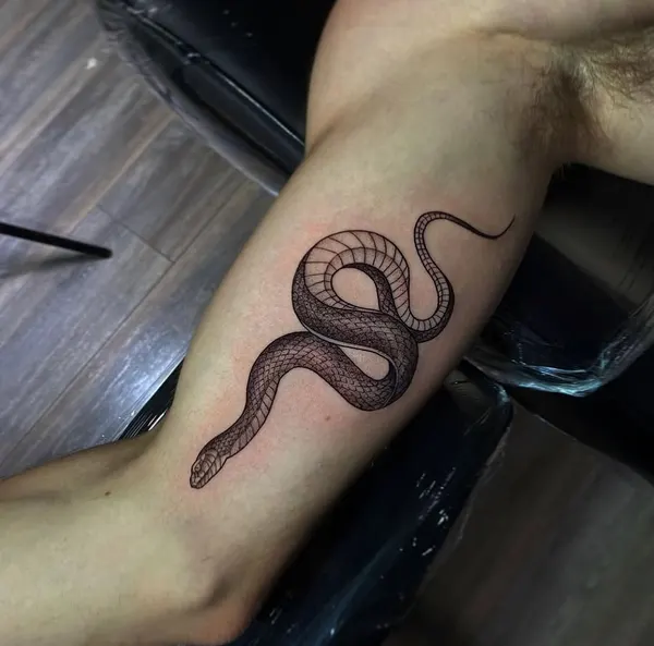 Dragon, 전갈, 크라켄, 전갈자리, Snake