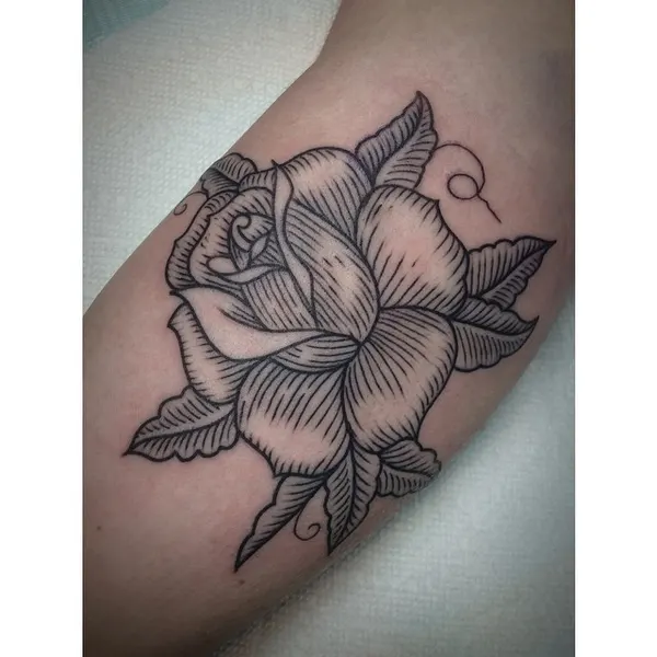 Flower, Rose