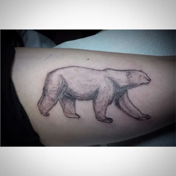 Animal