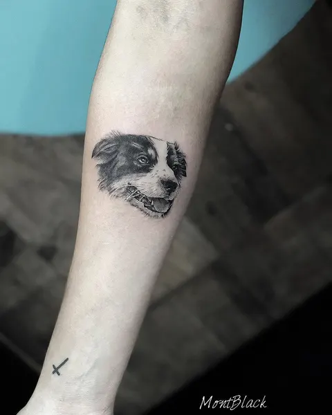판다, 너구리