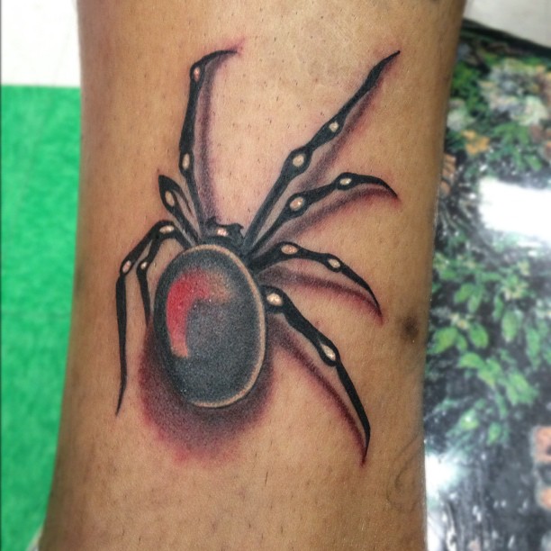 Animal, 거미