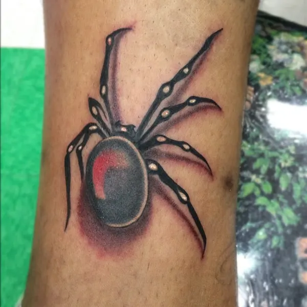 Animal, 거미