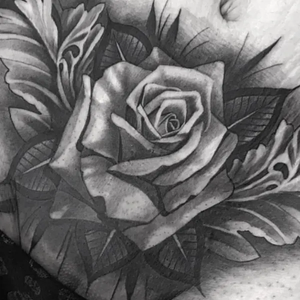 Flower, Rose, Nature