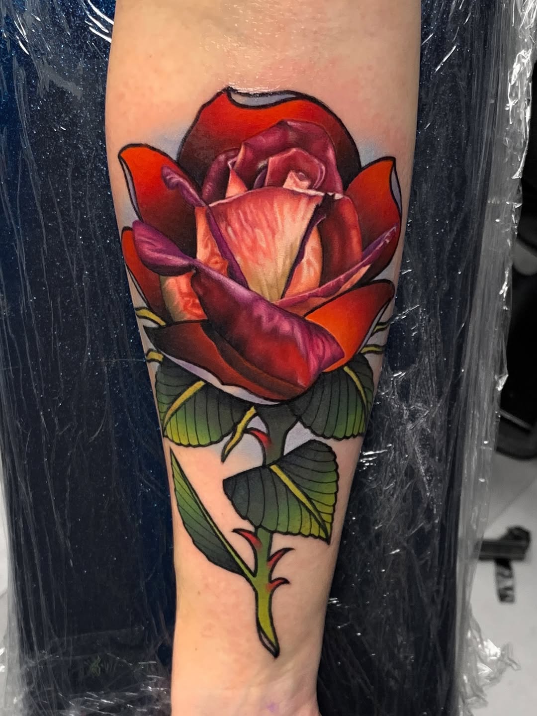 Flower, Rose