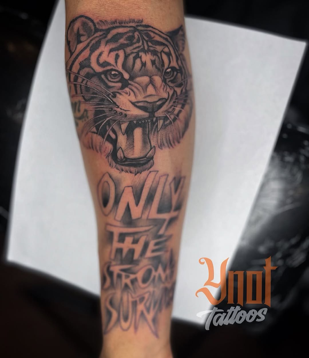 Tiger