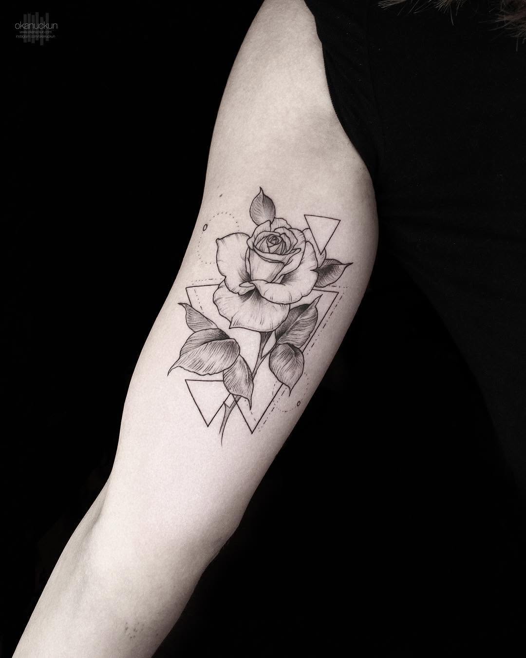 Flower, Rose, Nature