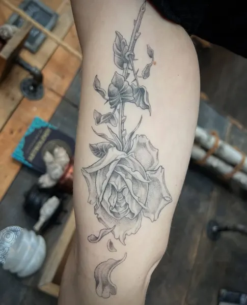 Flower, Rose