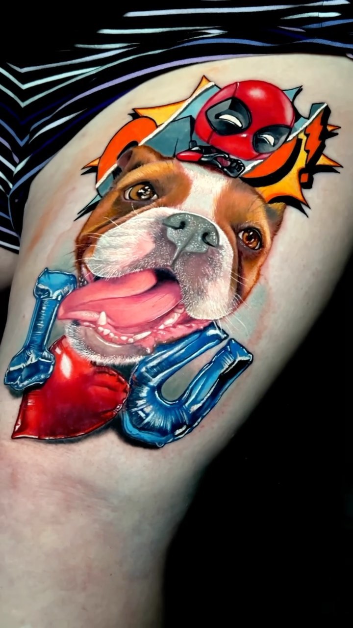 Animal