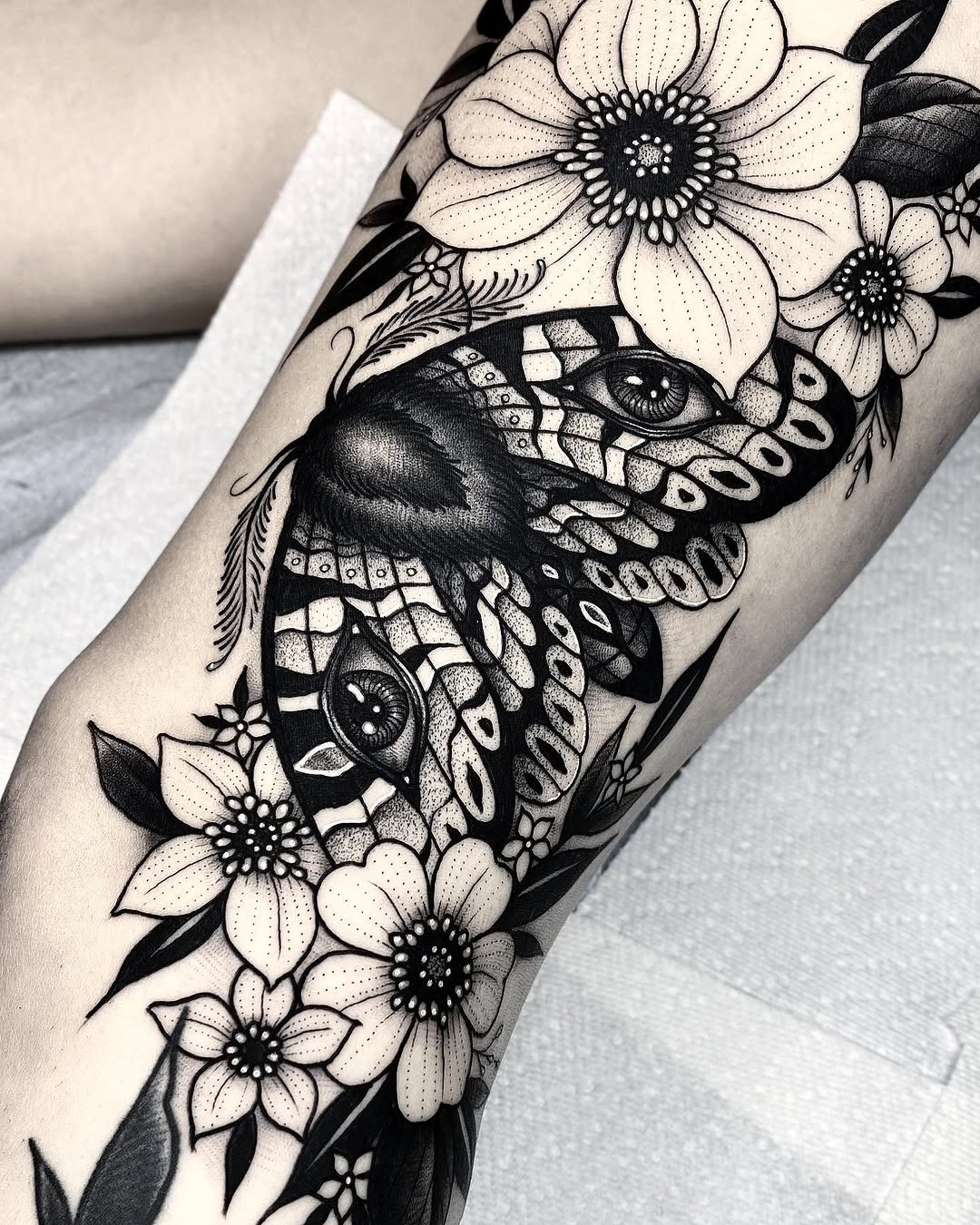 Animal, Flower, Nature