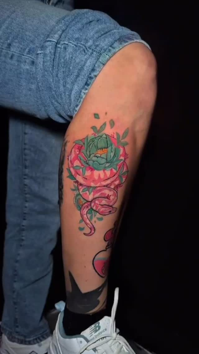Dragon, 석류, 선인장