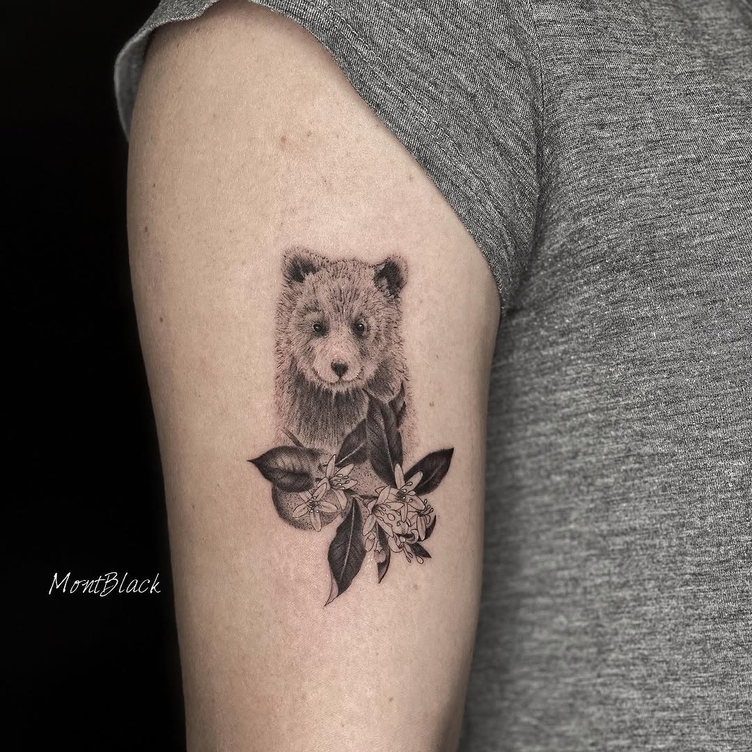 곰, 판다, 코알라