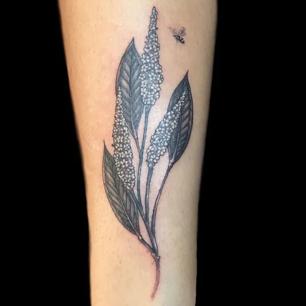 Flower, Rose, 잎, 은행잎, 고사리, 단풍잎