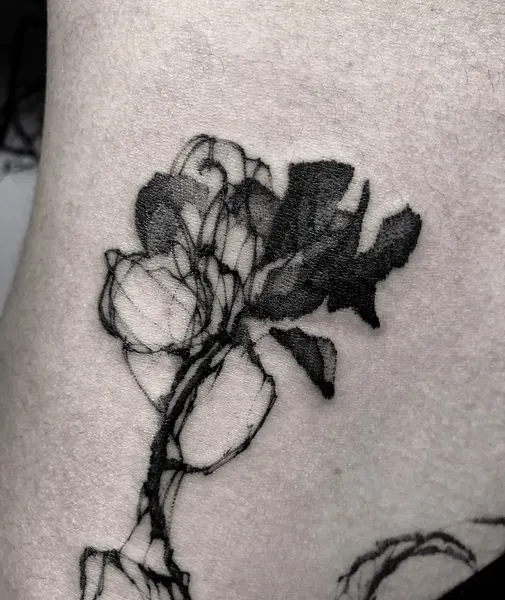 Flower, Rose