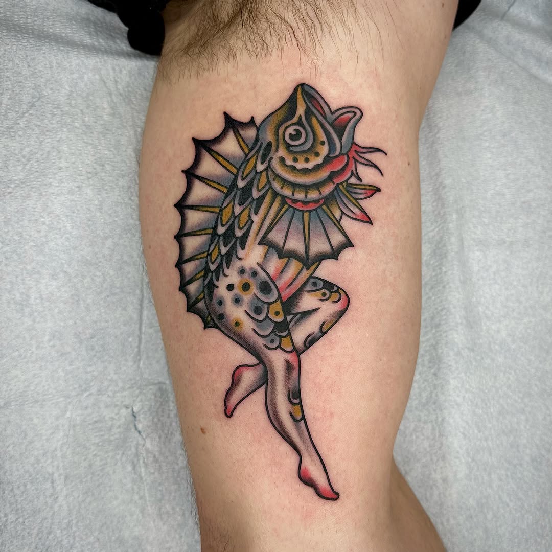 Dragon, 조개껍데기