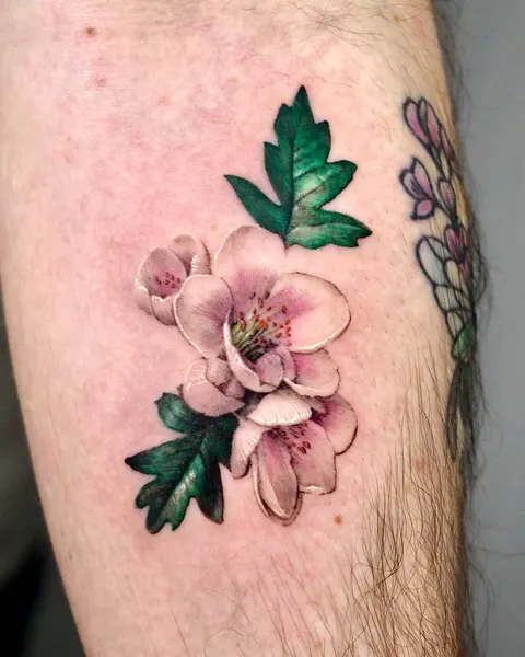 Flower, Rose, 벚꽃, 매화
