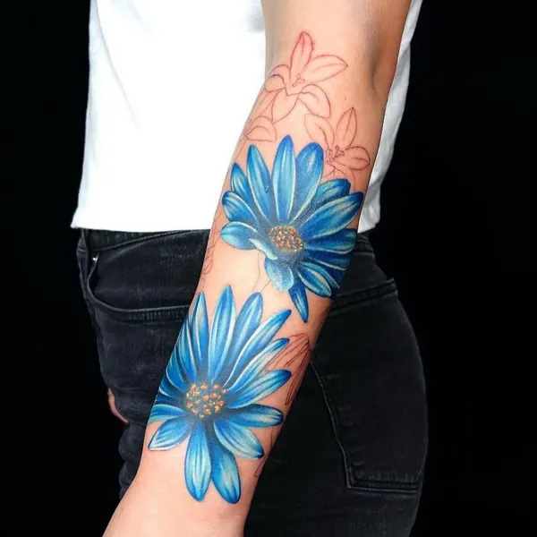 Flower, Rose, 국화, 꽃 배경