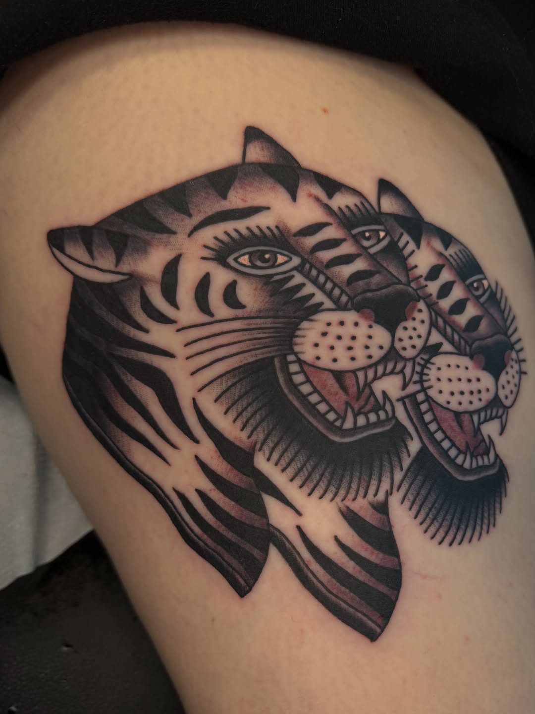 Tiger, Animal, 일본 호랑이