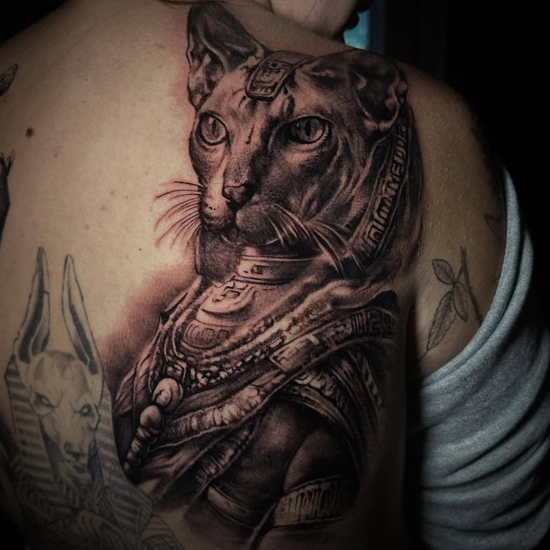 Animal