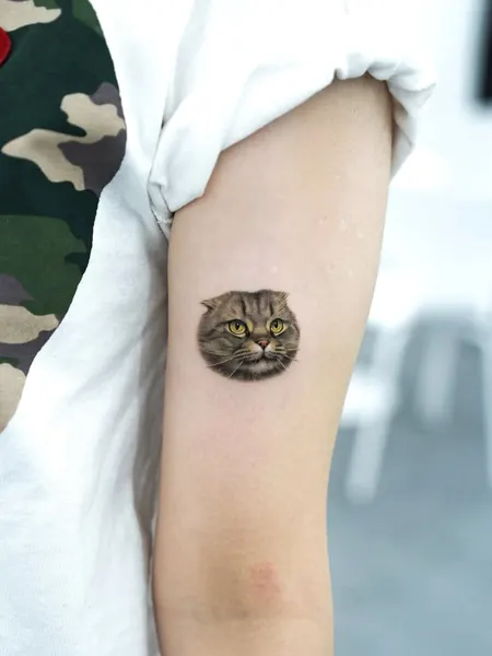 Animal, 텐구, 함사, 고양이, 마네키네코, 반려동물, 여우 가면