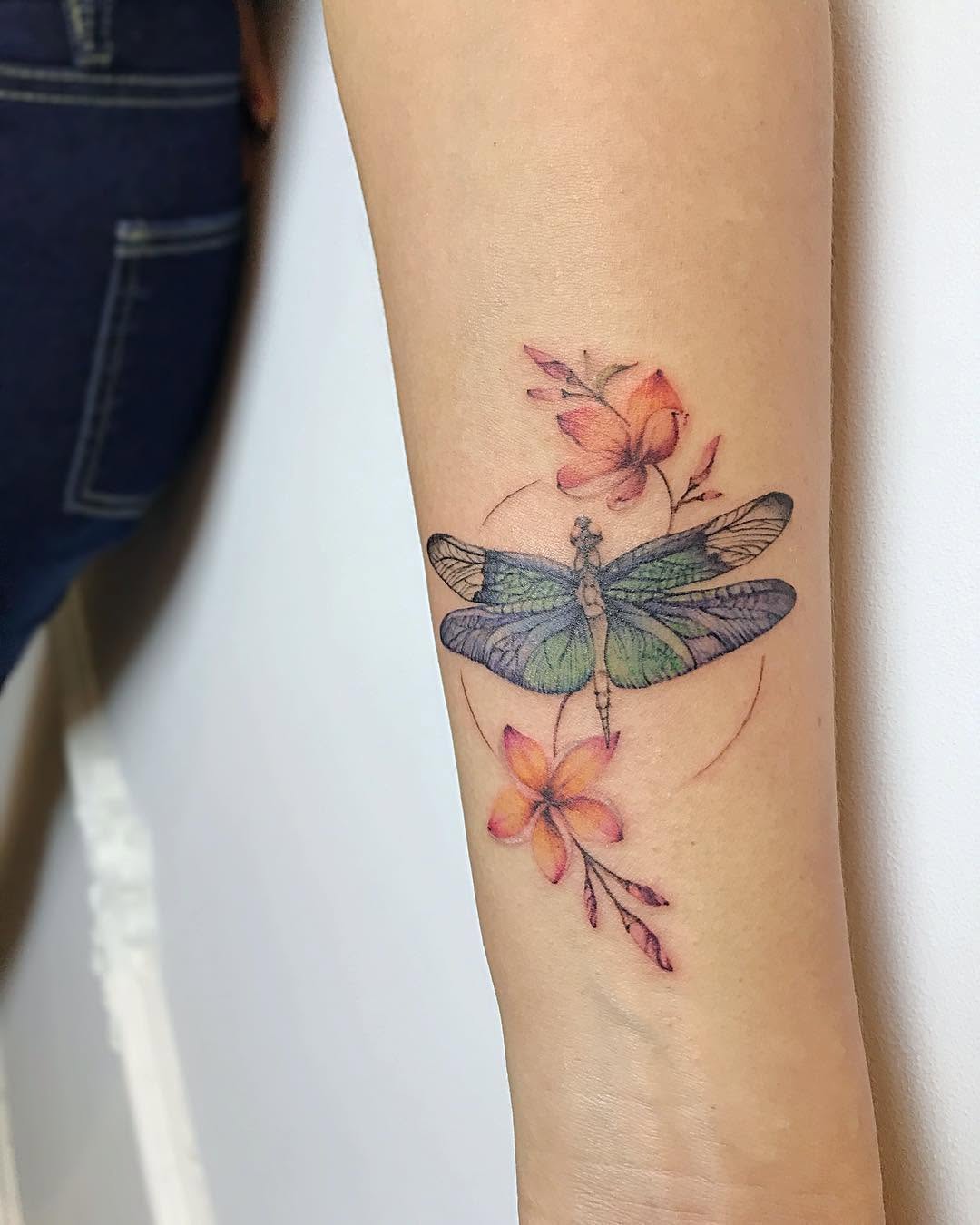 Animal, Nature, 잠자리, 매미