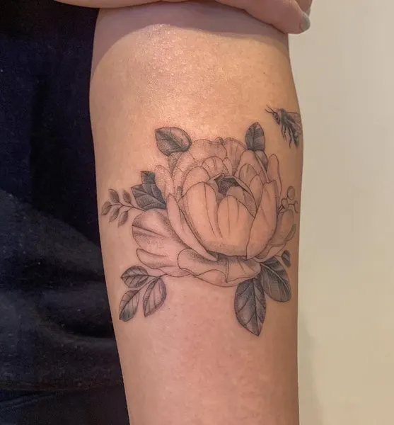 Flower, Rose