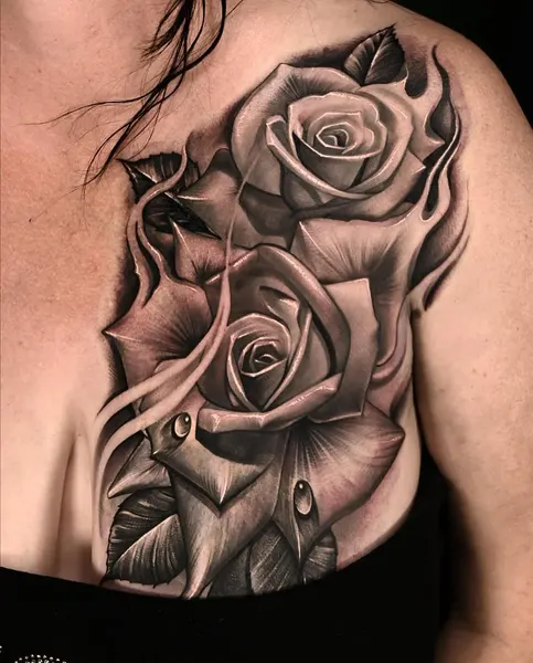 Flower, Nature, Rose