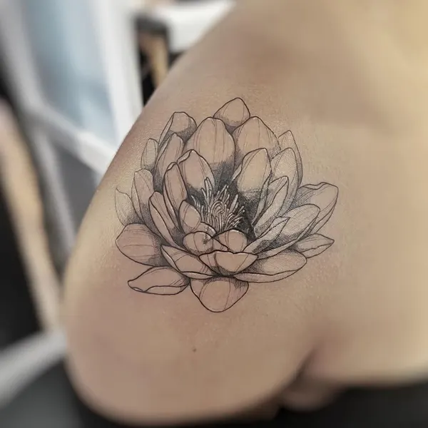 연꽃, 한국 연꽃, 연꽃 만다라, 탄생화, Flower