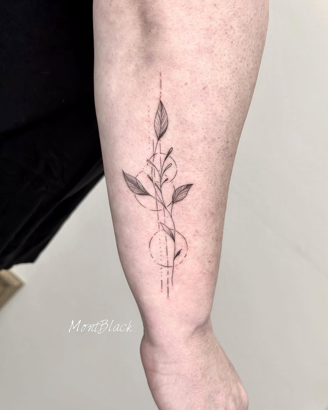 Flower, Rose, 뿌리, 덩굴, 고사리, 나뭇가지, 올리브 가지, 허브, 단풍잎