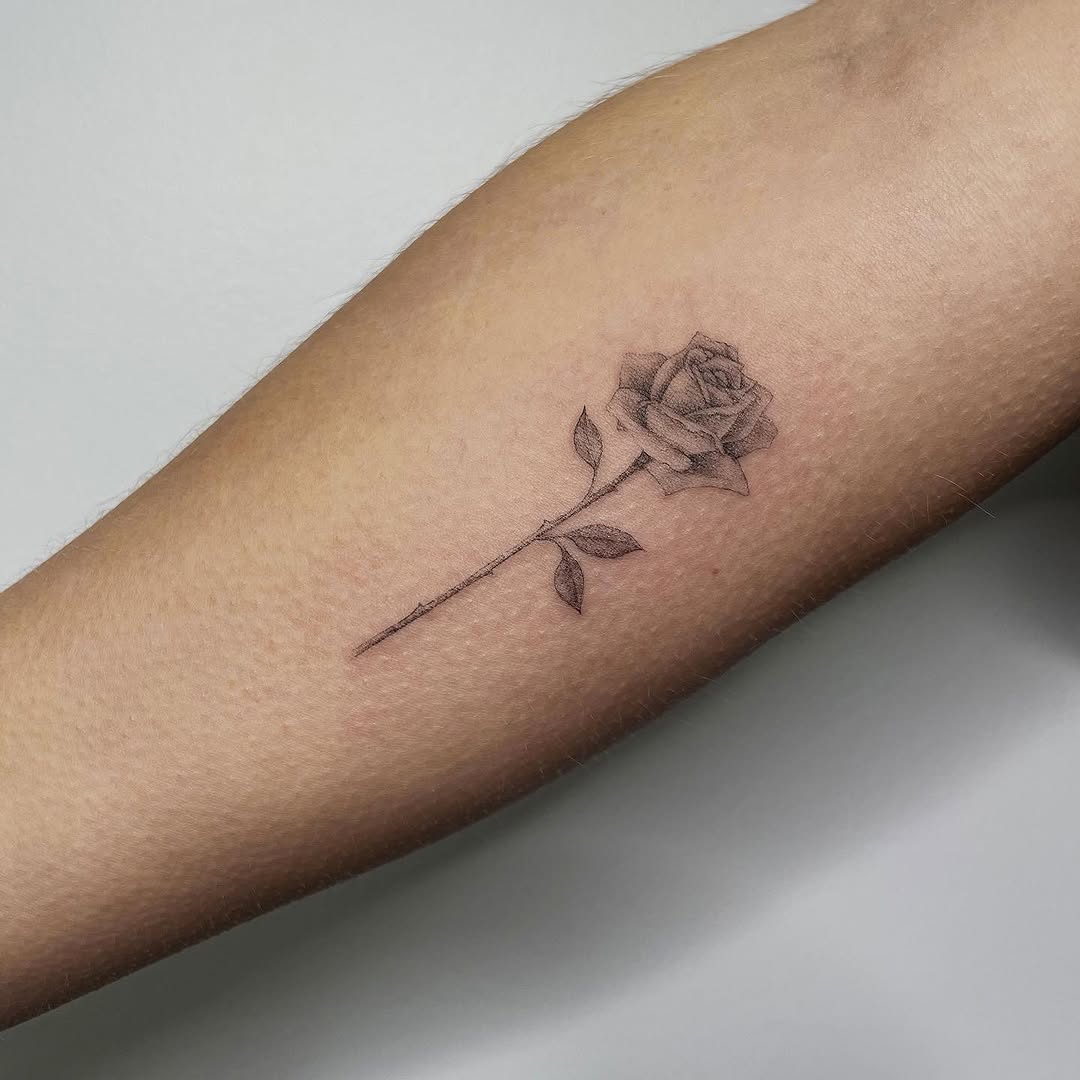 Flower, Rose, 펜
