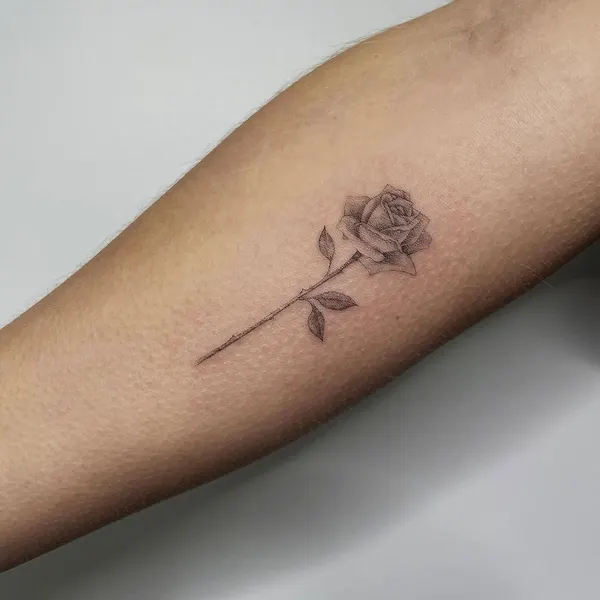 Flower, Rose, 펜