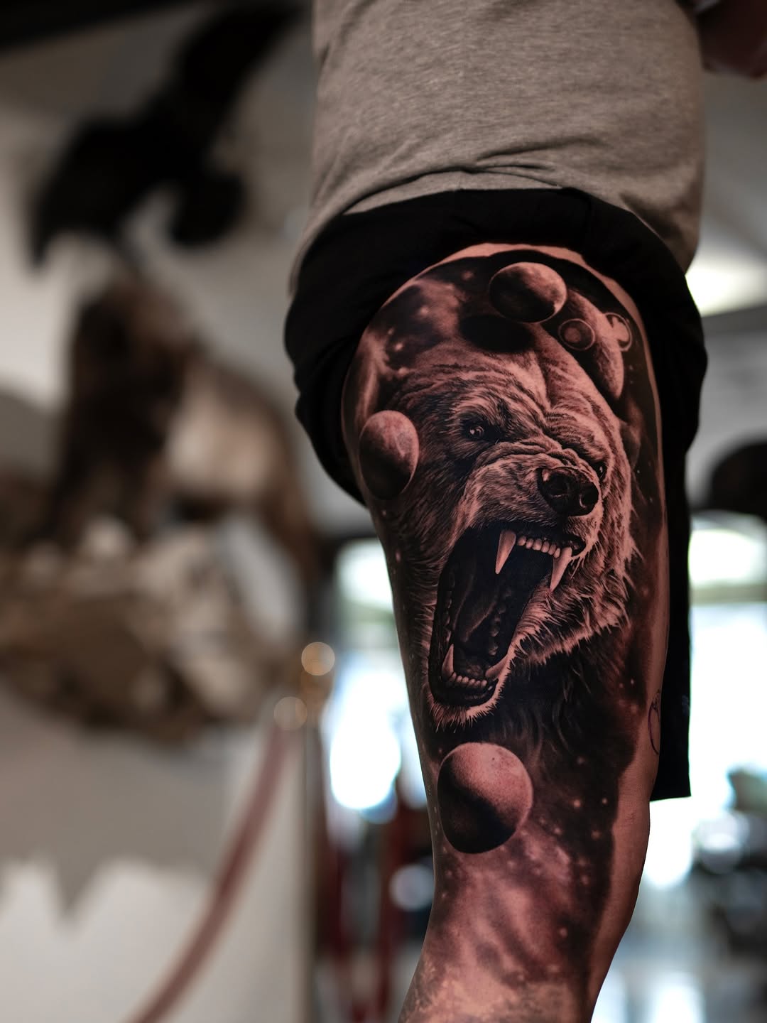 Animal